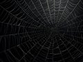 Spiderweb with raindrops background