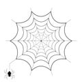 Spiderweb and spider isolated on white background