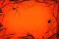 Spiderweb with spiders isolated on orange red background. Halloween party design Royalty Free Stock Photo