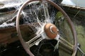 Spiderweb on steeringwheel