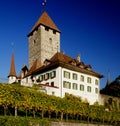 Spiez Castle Royalty Free Stock Photo