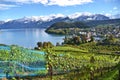 Spiez Castle, Switerland Royalty Free Stock Photo