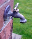 Spigot