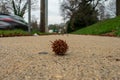 A Spike Ball in the Center of the Sidewalk