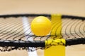 Spike ball game with yellow ball on hardwood court floor. Horizontal sport theme poster, greeting cards, headers, website and app Royalty Free Stock Photo