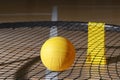 Spike ball game with yellow ball on hardwood court floor. Horizontal sport theme poster, greeting cards, headers, website and app Royalty Free Stock Photo