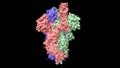 Structure of the SARS-CoV-2 spike glycoprotein in the open and closed conformation