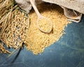 Spike of rice and brown rice Royalty Free Stock Photo