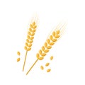 Spike wheat or barley vector icon, ear and grain, cereal corn, rye and rice crop, agriculture symbol, oat plant. Golden Royalty Free Stock Photo