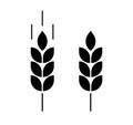 Bread grain. Spike wheat. Wheat logo. Icon bakery. Stalk oat, barley, corn, rye, malt, bran, millet, maize, rice, beer.