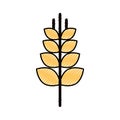 Spike wheat isolated icon