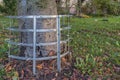 Spiked metal grill to protect the tree trunk from damage. The background is blurred. Place for text