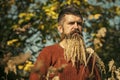 Spikelet beard at barber and hairdresser.