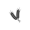 Spikelet Flat Vector Icon Royalty Free Stock Photo