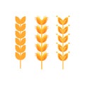 Spikelets of cereals. Stylized drawing in a flat style on an isolated white background. Vector illustration