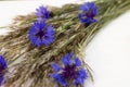 Spikelets and cornflowers on white wooden background Royalty Free Stock Photo