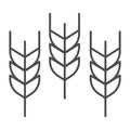 Spikelets thin line icon, Thanksgiving Day concept, wheat ears sign on white background, three ear spica icon in outline Royalty Free Stock Photo