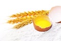 Spikelets of wheat with egg on flour spillage.Isolated.