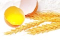 Spikelets of wheat with egg on flour spillage.Isolated. Royalty Free Stock Photo