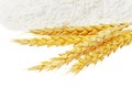 Spikelets of wheat on flour spillage.