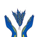 Spikelets of Wheat Over Raised Hands. Vector illustration stylised in ukrainian national flag colors blue and yellow.