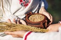 Spikelets of wheat and a pot of wheat seeds are held in the hands of a guy and a girl in embroidered shirts Royalty Free Stock Photo