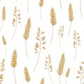 Spikelets of wheat, rye, barley, grains. Bunch of wheat and oats. seamless pattern. Watercolor hand drawn illustration Royalty Free Stock Photo