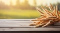 Spikelets of wheat on a table in a field. Selective focus. Royalty Free Stock Photo