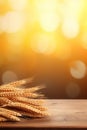 Spikelets of wheat on a table in a field. Selective focus. Royalty Free Stock Photo