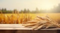 Spikelets of wheat on a table in a field. Selective focus. Royalty Free Stock Photo