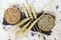 Spikelets of wheat and two wooden bowl with grain on spilled flour. Top view Royalty Free Stock Photo