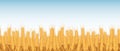 Spikelets of wheat, wheat field against the sky. Agriculture. Seamless horizontal border. Royalty Free Stock Photo