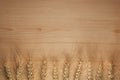 Spikelets of wheat on wooden background. top view. Baking for a bakery recipe. copy space,text space.