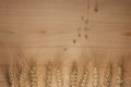 Spikelets of wheat on wooden background. top view. Baking for a bakery recipe. copy space,text space.