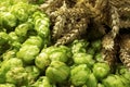Spikes on fresh green hops, closeup view Royalty Free Stock Photo