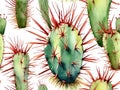 Spiky Cacti in Watercolor Royalty Free Stock Photo