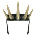 Spiky Crown