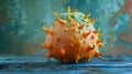 Spiky Kiwano Melon Fruit on Blue Wooden Table - Realistic Image Royalty Free Stock Photo