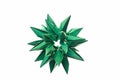 Spiky stellated modular origami art