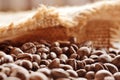 Spilled coffee beans from canvas sack Royalty Free Stock Photo