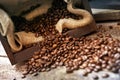 Spilled Coffee Beans Royalty Free Stock Photo