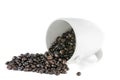 Spilled coffee beans on white ceramic cup Royalty Free Stock Photo