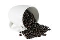 Spilled coffee beans on white ceramic cup Royalty Free Stock Photo