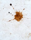 Spilled coffee stain on white background Royalty Free Stock Photo