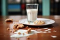 spilled glass of milk beside a plate of chocolate chip cookies Royalty Free Stock Photo