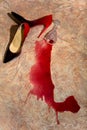 A spilled glass of wine and women`s shoes on the floor