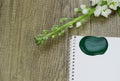 A spilled green paint on a sheet of paper, beauty blossom , grey background Royalty Free Stock Photo