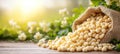 Spilled Macadamia Nuts From Burlap Sack On Farm With Bright Natural Background And Copy Space Royalty Free Stock Photo