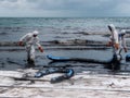 Spilled oil cleaning, Rayong, Thailand 4 Royalty Free Stock Photo