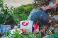 Spilled recycling man made garbage in park forest near city. Empty used dirty waste plastic bottles caps bags and carton Royalty Free Stock Photo